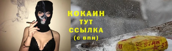 ПСИЛОЦИБИНОВЫЕ ГРИБЫ Козловка