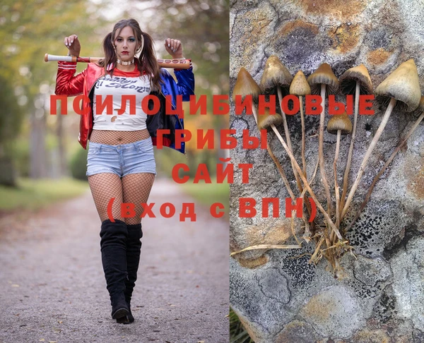 ПСИЛОЦИБИНОВЫЕ ГРИБЫ Козловка