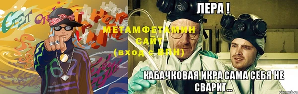 ПСИЛОЦИБИНОВЫЕ ГРИБЫ Козловка