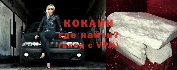 ПСИЛОЦИБИНОВЫЕ ГРИБЫ Козловка