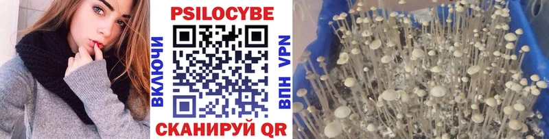 закладки Майкоп Галлюциногенные грибы Magic Shrooms