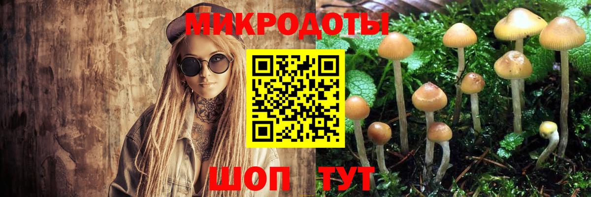 Майкоп  Псилоцибиновые грибы Psilocybe  Вход с VPN 